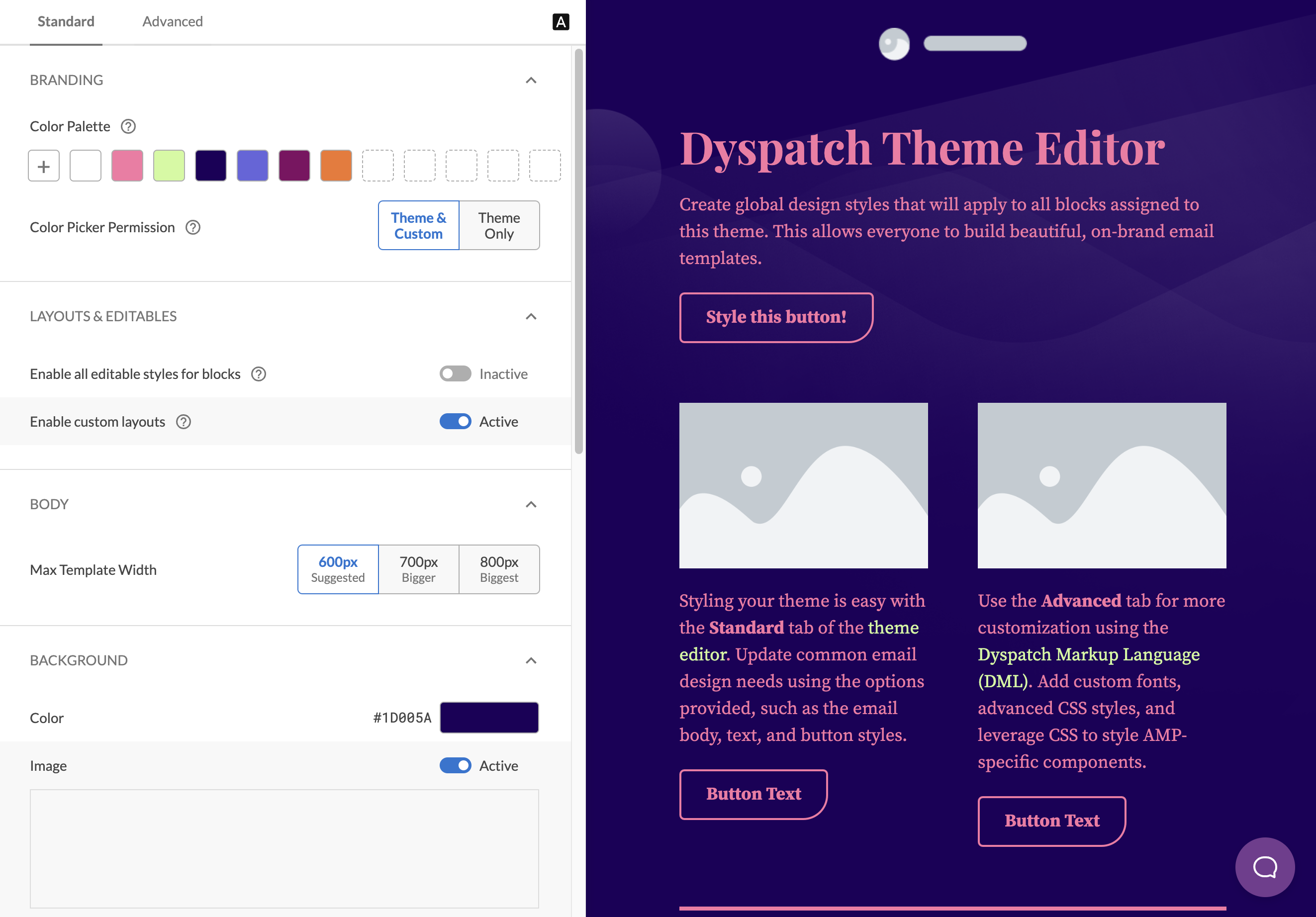 The standard tab within the theme editor with basic options for updating styles