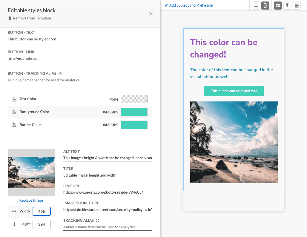 Viewing editable styles in the email editor