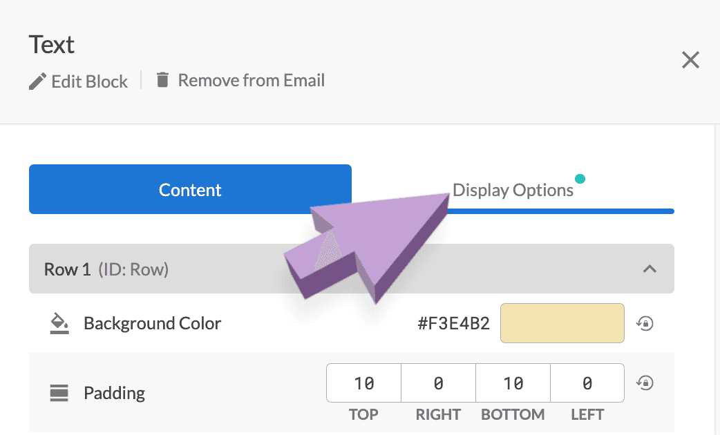 Arrow showing location of the Display Options tab