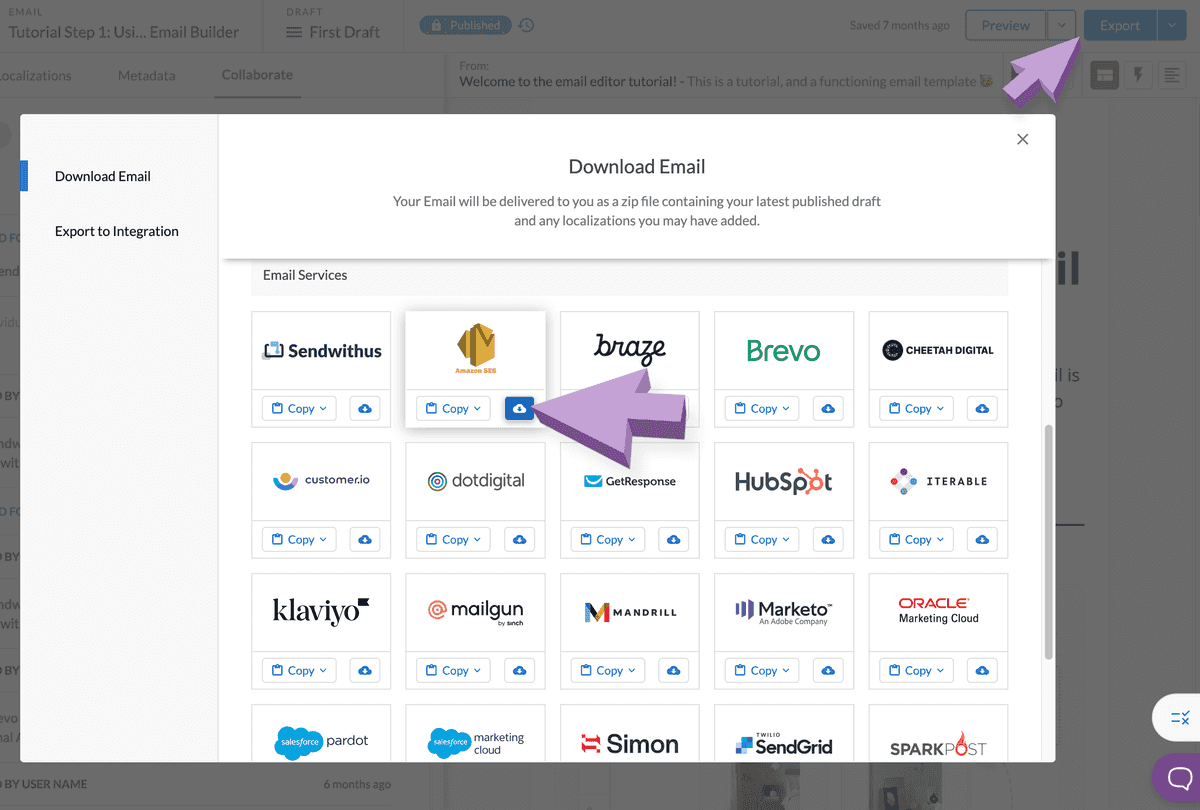 Download modal with arrows pointing to download email option for SES